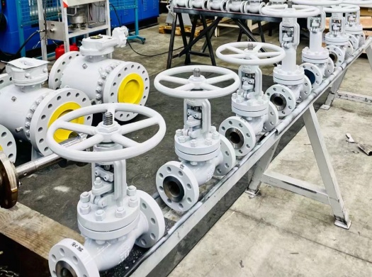 /Manual Flanged Globe Valve